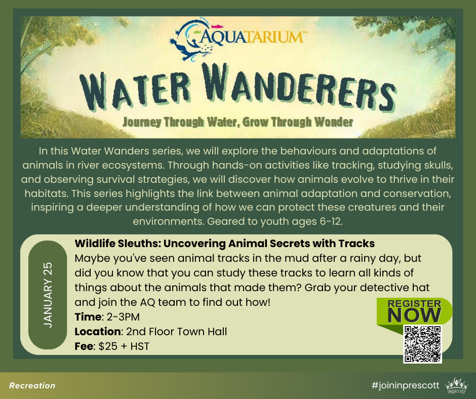 Aquatarium Water Wanderers Workshop