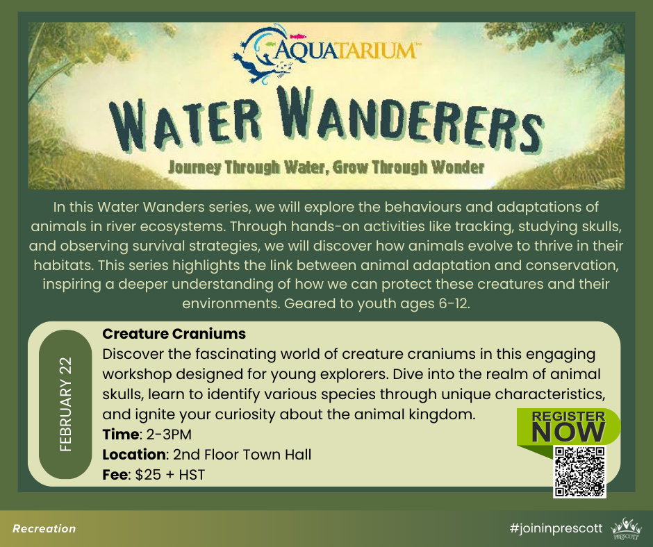 Aquatarium Water Wanderers Workshop